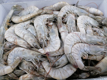 Sea Sunset Trading - Al Qatif - +966 55 288 8125