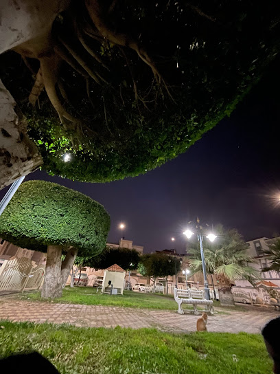 حديقة السحيلي ١ - Saudi Arabia|26524|2362، القطبية،، الطائف|8225
