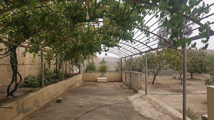 مزرعة حمد بن محمد الحبيش - Abha -