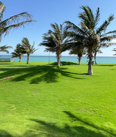 شاطئ   الساحر - Yanbu -