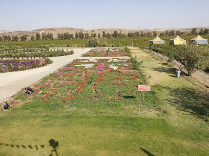 Khamees Rose garden - Bani Malik -
