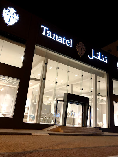 تناتل Tanatel‏ - Saudi Arabia|Tabuk 47911|Alulaya|Prince Sultan Rd