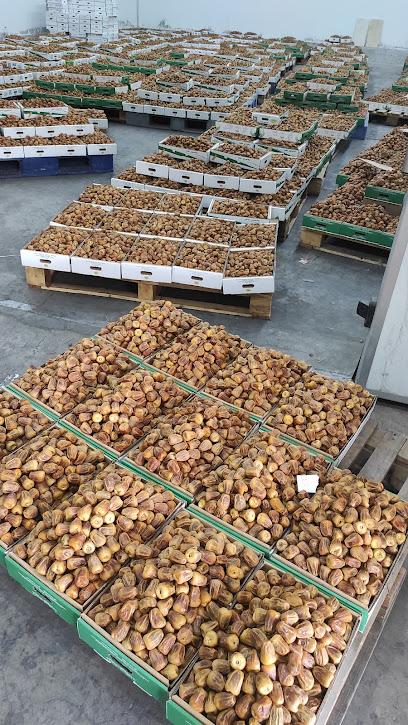شركة مجنى للتمور - Saudi Arabia|Buraydah 11542