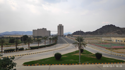 Saudi Grain Organization -  -