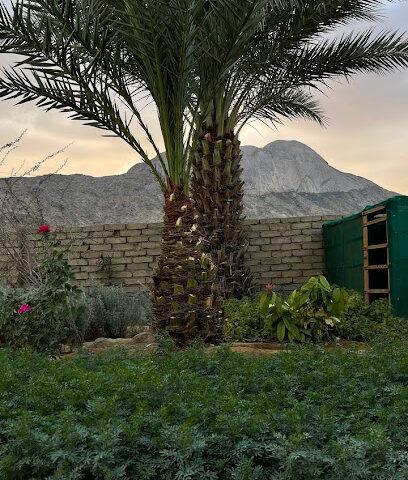 مزرعة الحياة - Tharban -