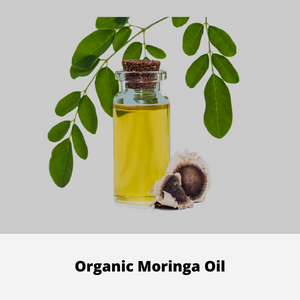 BRNO Trading Est. - Jeddah - +966 56 483 5309