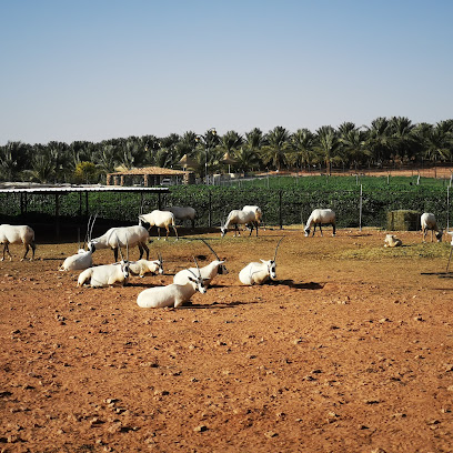 Deer Farm Buraydah -  -