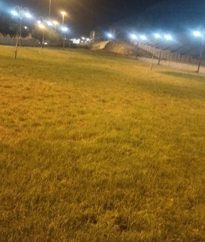 الحديقة السرية - Taif -
