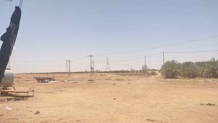 Date palm garden - Buraydah - +966 59 613 6618