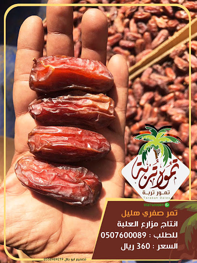 تمور تربة - Saudi Arabia|الحائرية 29763|4HRX+QH