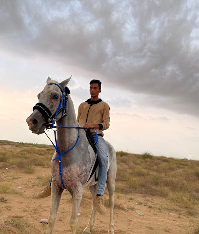 مربط خيول البدر - الجراديه - +966 53 658 7557