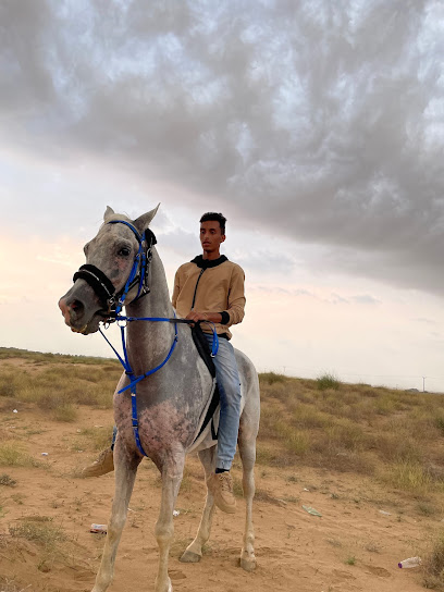 مربط خيول البدر - Saudi Arabia|الجراديه 12321|الجارديه