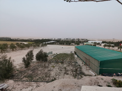 Mishraf - Mulayjah -
