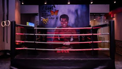 Salt Gym - Riyadh - +966 53 552 2331