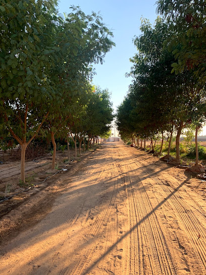 مزرعة أسامة الفريح - Saudi Arabia|Al Bukayriyah 52742|King Faisal Rd