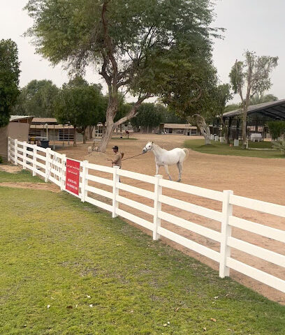 Hobby Farm Horse Stables - Dhahran - +966 13 876 1451