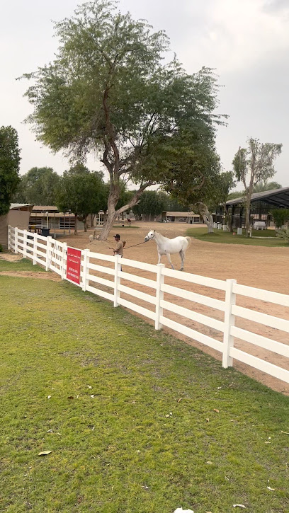Hobby Farm Horse Stables - Saudi Arabia|Dhahran 34473|8296