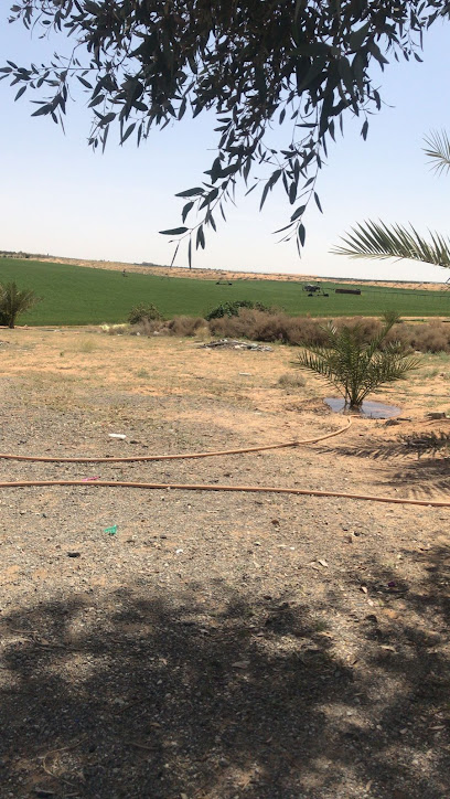 مزرعة سعود بن عبدالمحسن العقيلي - Saudi Arabia|Al Bukayriyah 52534|5PHR+WQ