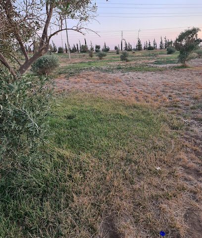 Maisari Park Tabarjal province -  -