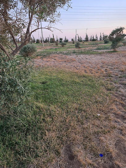 Maisari Park Tabarjal province - Saudi Arabia|74756|65