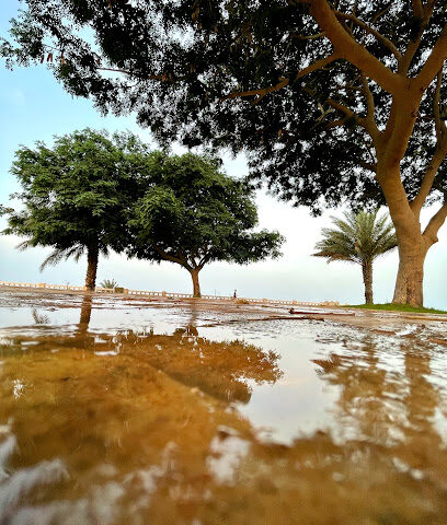 حديقة الكواكب - Taif -