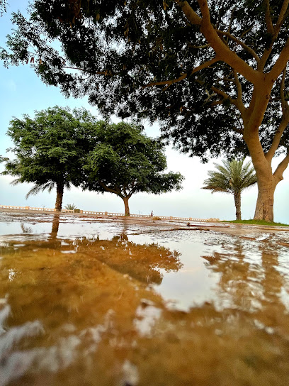 حديقة الكواكب - Taif 26523