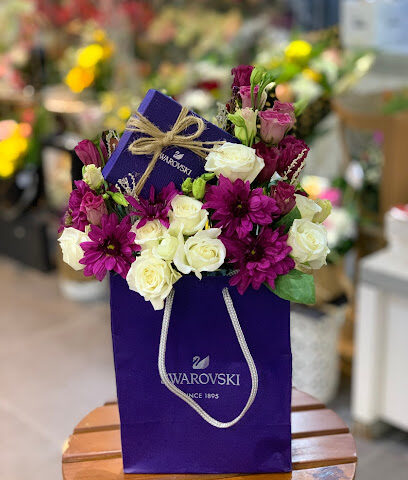 سبشل دي - Hail - +966 55 528 3798