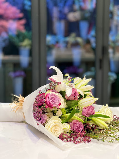 WRAPHIA - Al Khobar 34423