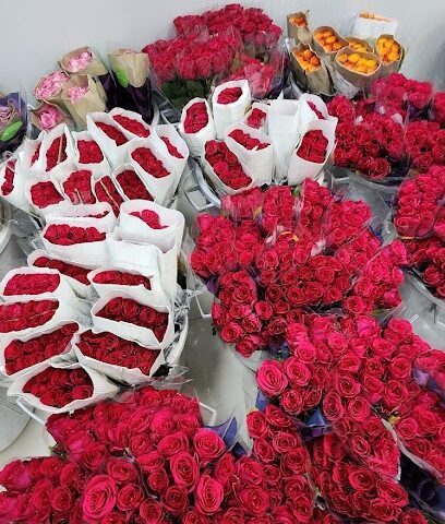 بلوماكس جمله - Hail - +966 53 106 5531