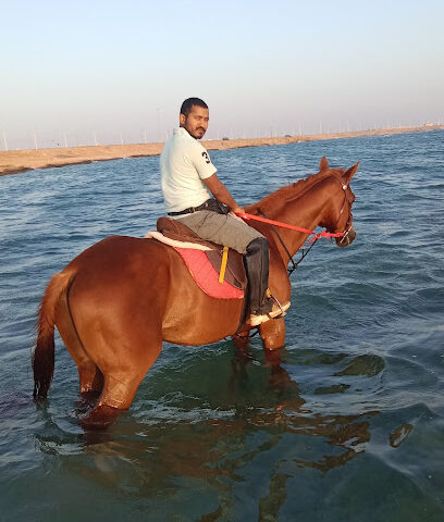 Rabigh Horseback riding Club - Rabigh -