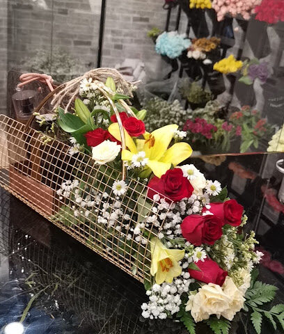 زهرة ميلا - Khamis Mushait - +966 50 968 5932