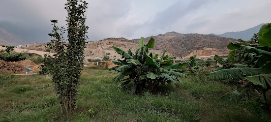 مزرعة اغادير - آل قيسة - +966 55 215 5472