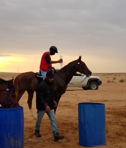 ميدان الفروسية والقدرة - الرياض -