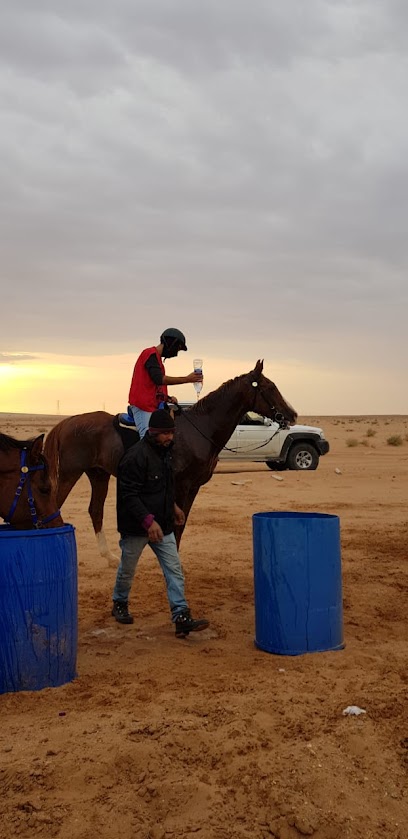 ميدان الفروسية والقدرة - الرياض 56585