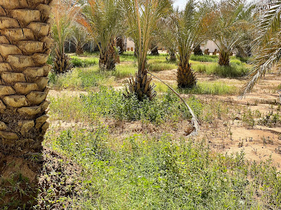 حيالة نايف بن مزيد الدويش - Al Artawiyah - +966 50 666 6966