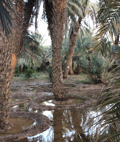 مزرعة الفارسيه للإيجار اليومي - Az Zulfi - +966 56 480 0633