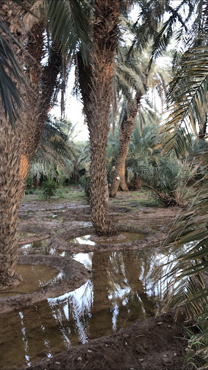 مزرعة الفارسيه للإيجار اليومي - Saudi Arabia|4021، سمنان، الزلفي 15942 6675،