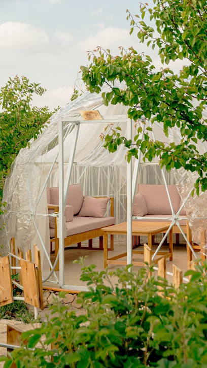 Mrg farm مزرعة مرج - Saudi Arabia|Taif 26592|طريق كرا الهدا