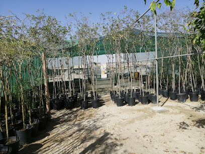 Gulf Gardens nursery - Al Jubail - +966 56 659 3742