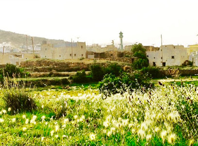 الممشى - Billasmar -