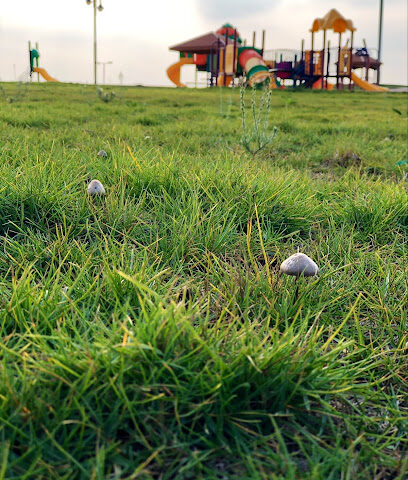 Al Dalfaa Park - الضلفعة -