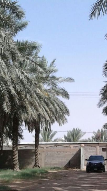 Usailah Farm - Saudi Arabia|Buraydah 52365|القاع البارد،|925F+QFJ