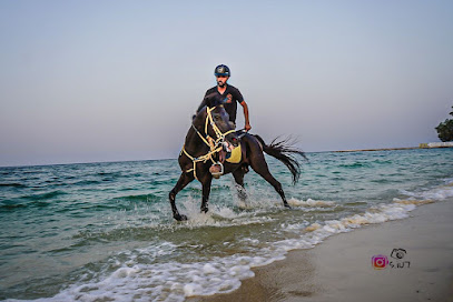 Sahwah_HDB Equestrian Club - Al Khobar - +966 50 284 2495