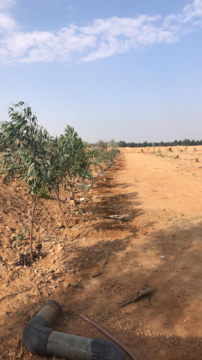 مزرعة واسطبل محمد العياضي - Saudi Arabia|Unnamed Road 52771،