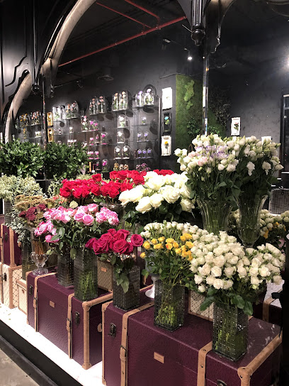 Forever Rose - Saudi Arabia|Riyadh 12362|المحمدية،،|PJJW+HV4