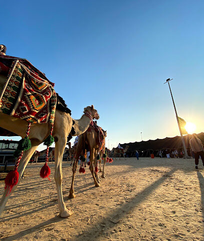 Safari Abqaiq Festival at salasil -  - +966 13 566 2330