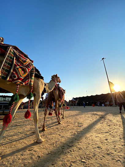 Safari Abqaiq Festival at salasil - Saudi Arabia|33335