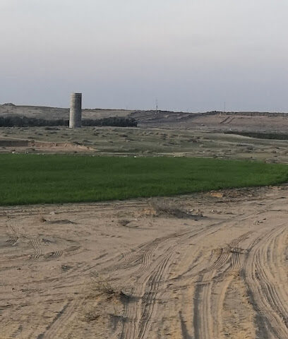 مزرعة التميمية - الشيحية - +966 11 445 5332