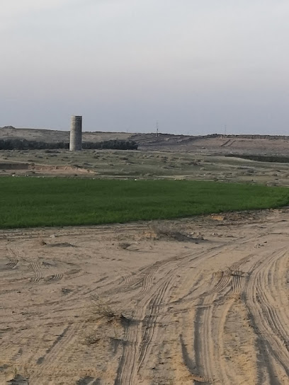 مزرعة التميمية - Saudi Arabia|الشيحية 52903|7CRR+RP8