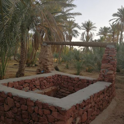 نخل السداسا ( الطوب) - Al Bukayriyah -